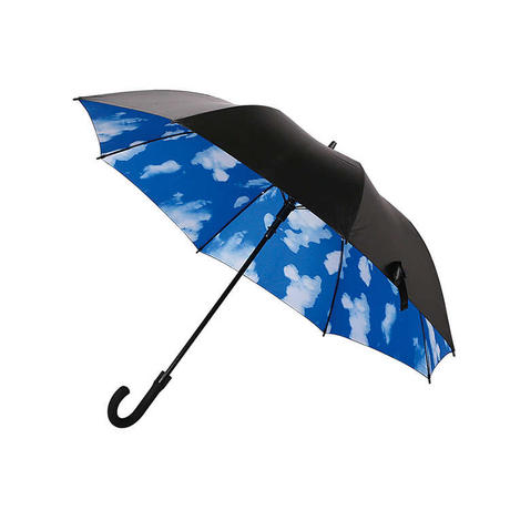 HYR026 29'' Automatic Rain Umbrella with Flower Inside